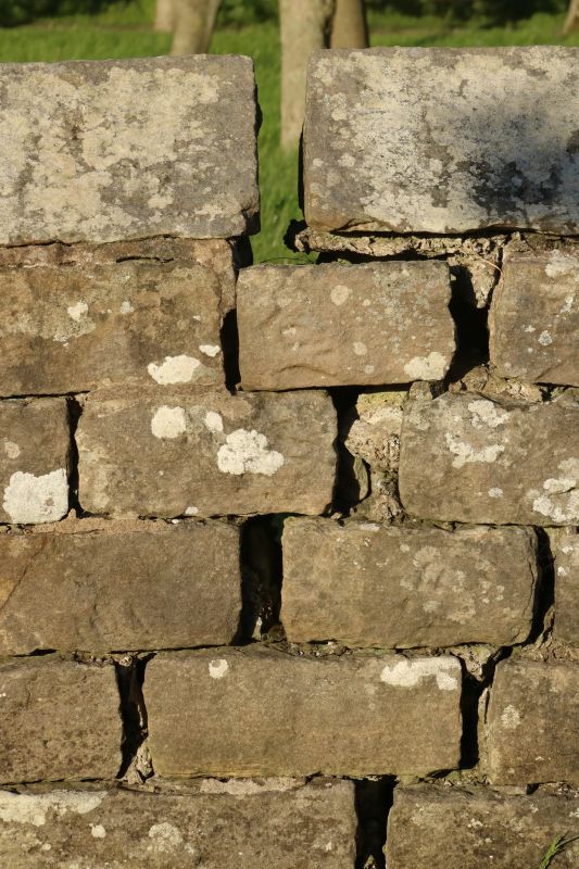 How Weather Exposure Affects Masonry Wall Integrity